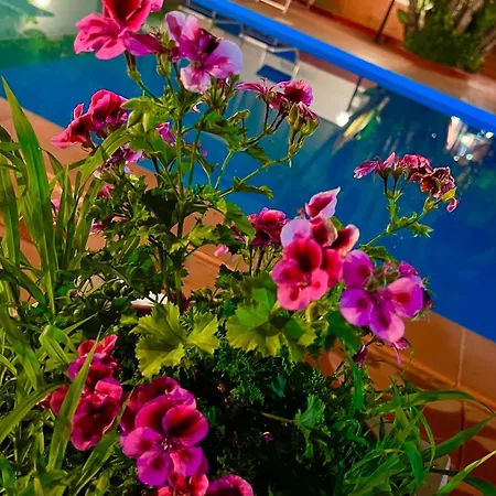 Villa Aladdin *
